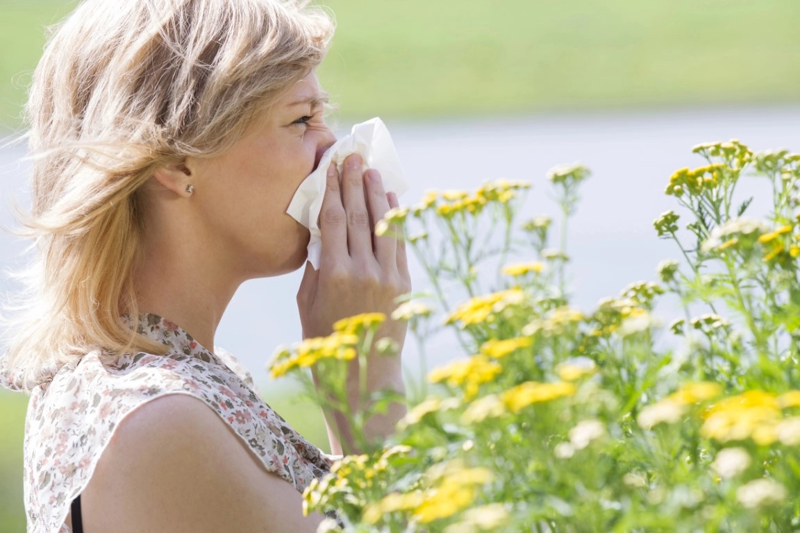 Reducing Allergens in the Workplace: A Guide for a Healthier Office